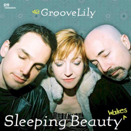 Sleeping Beauty Wakes cover