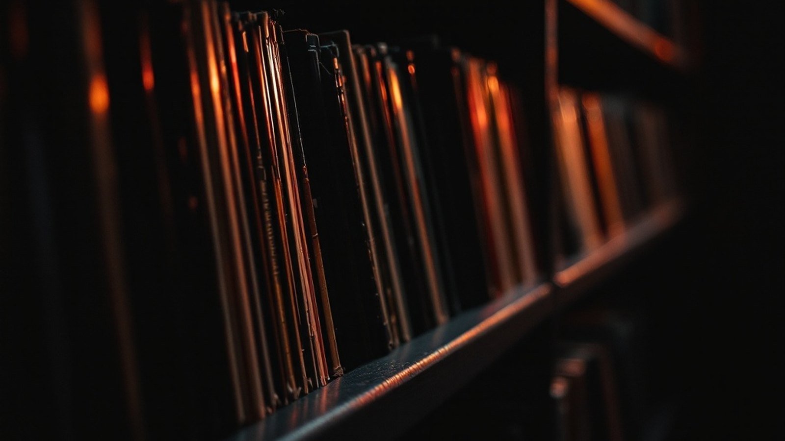 Row of vinyl record spines on a shelf, warm light grazing the edges